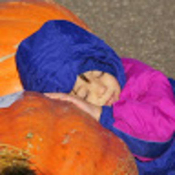 Meet your Posher, Joy - Picture 1 of 1